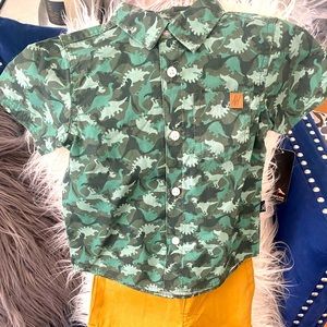 Boys 2 piece short set. Size 2T